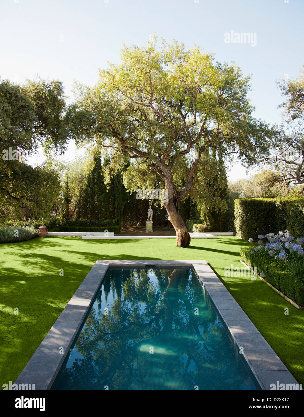 Lap pool in tranquil garden Stock Photo