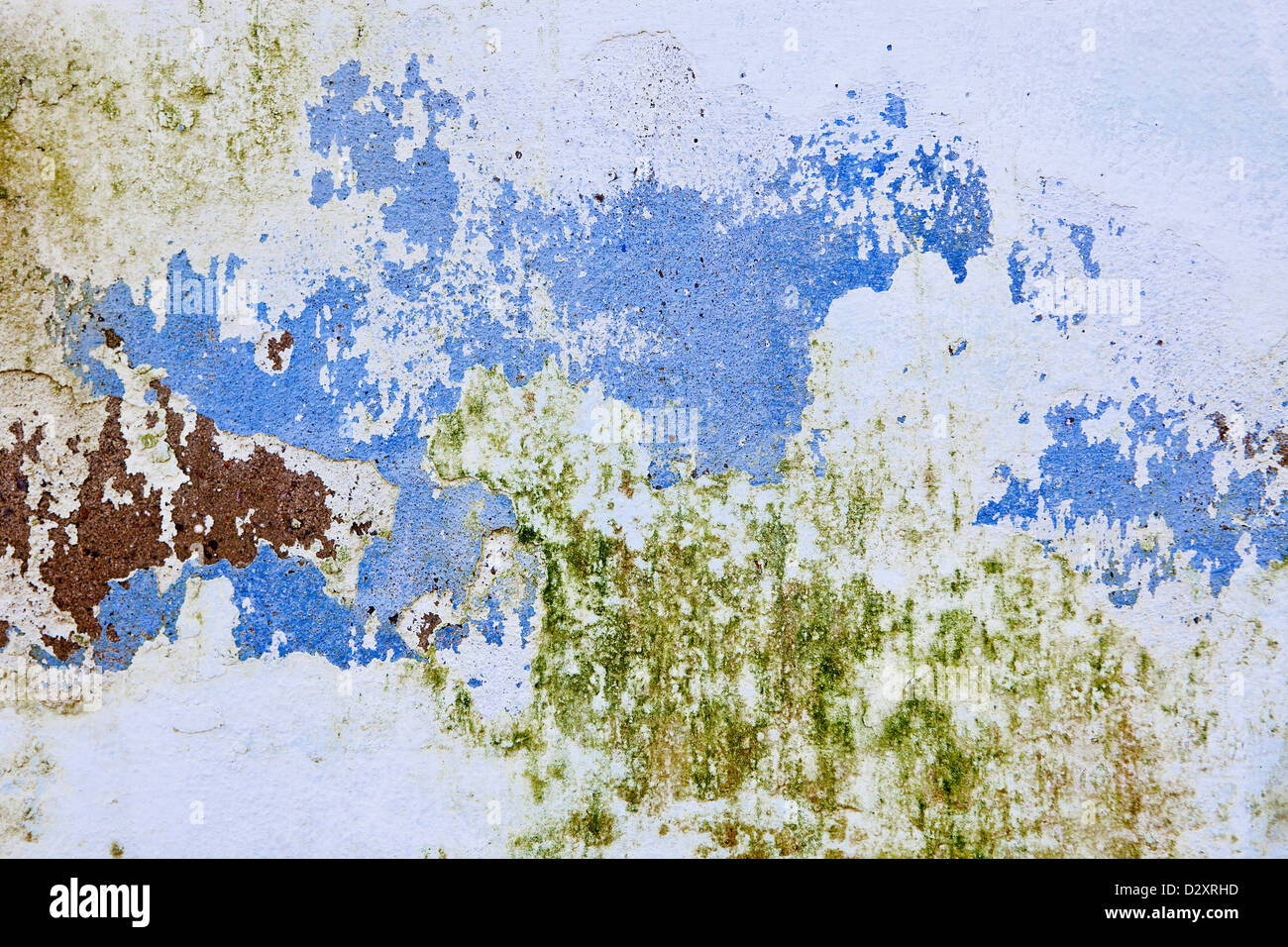 White wall paint texture hi-res stock photography and images - Alamy