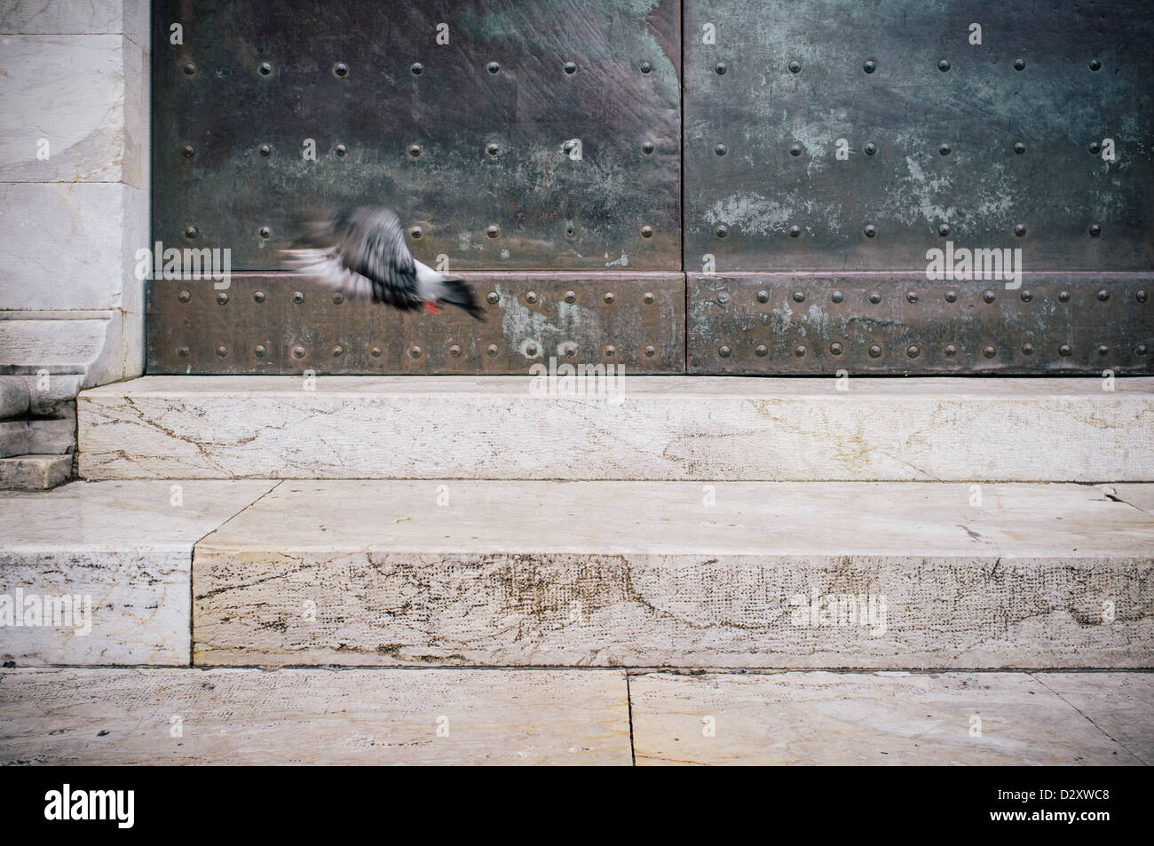 A pigeon on the steps of the Campo Santo cemetery in the Piazza dei Duomo in Pisa, Italy Stock Photo