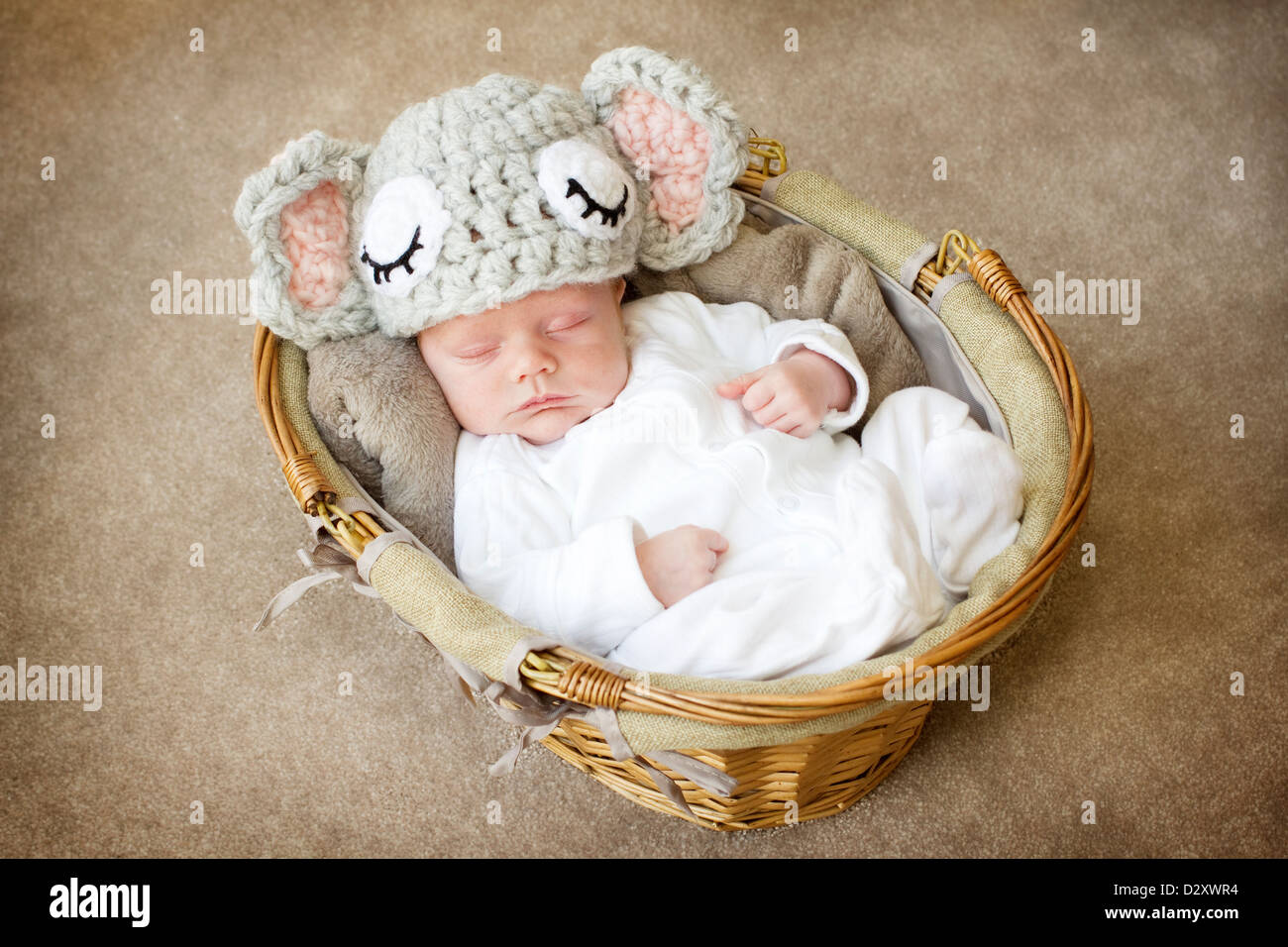 Very cute photograph of a newborn baby boy asleep in a basket. He ...