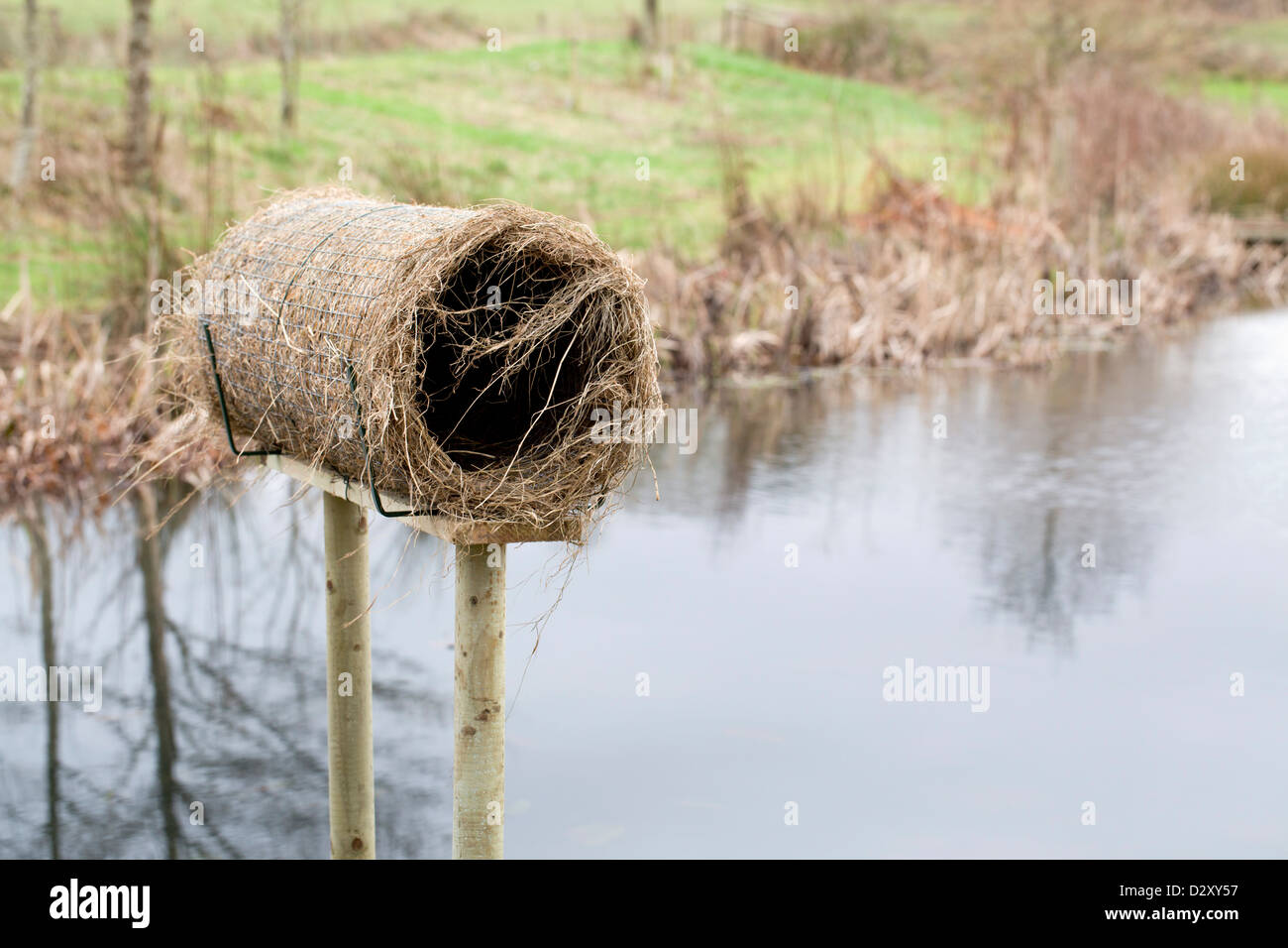 Duck Nest; Artificial; Cornwall; UK Stock Photo