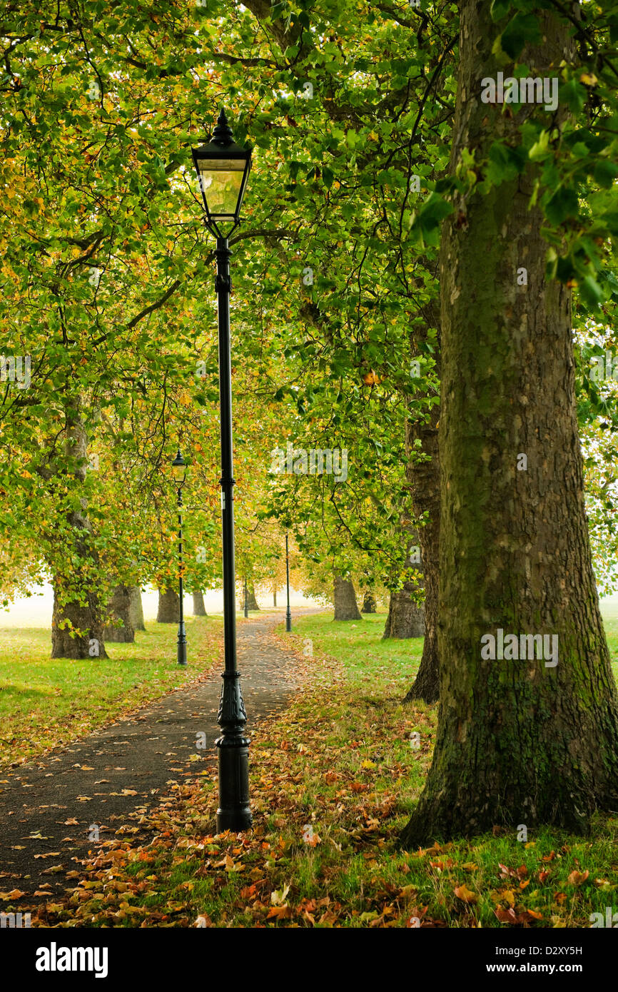 Clapham Common, London England UK in early autumn with plane trees Victorian lamps and leaves on the ground Stock Photo