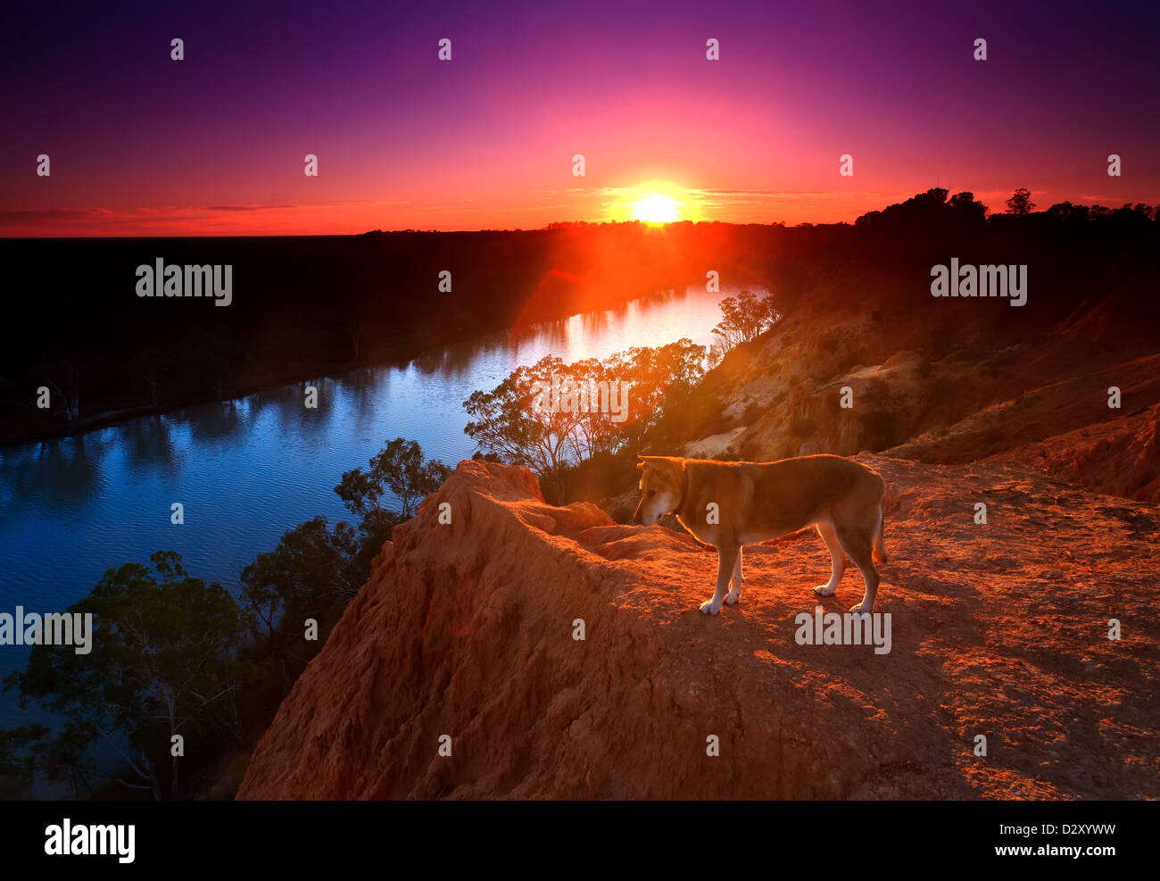 The Murray River in South Australia Stock Photo Alamy