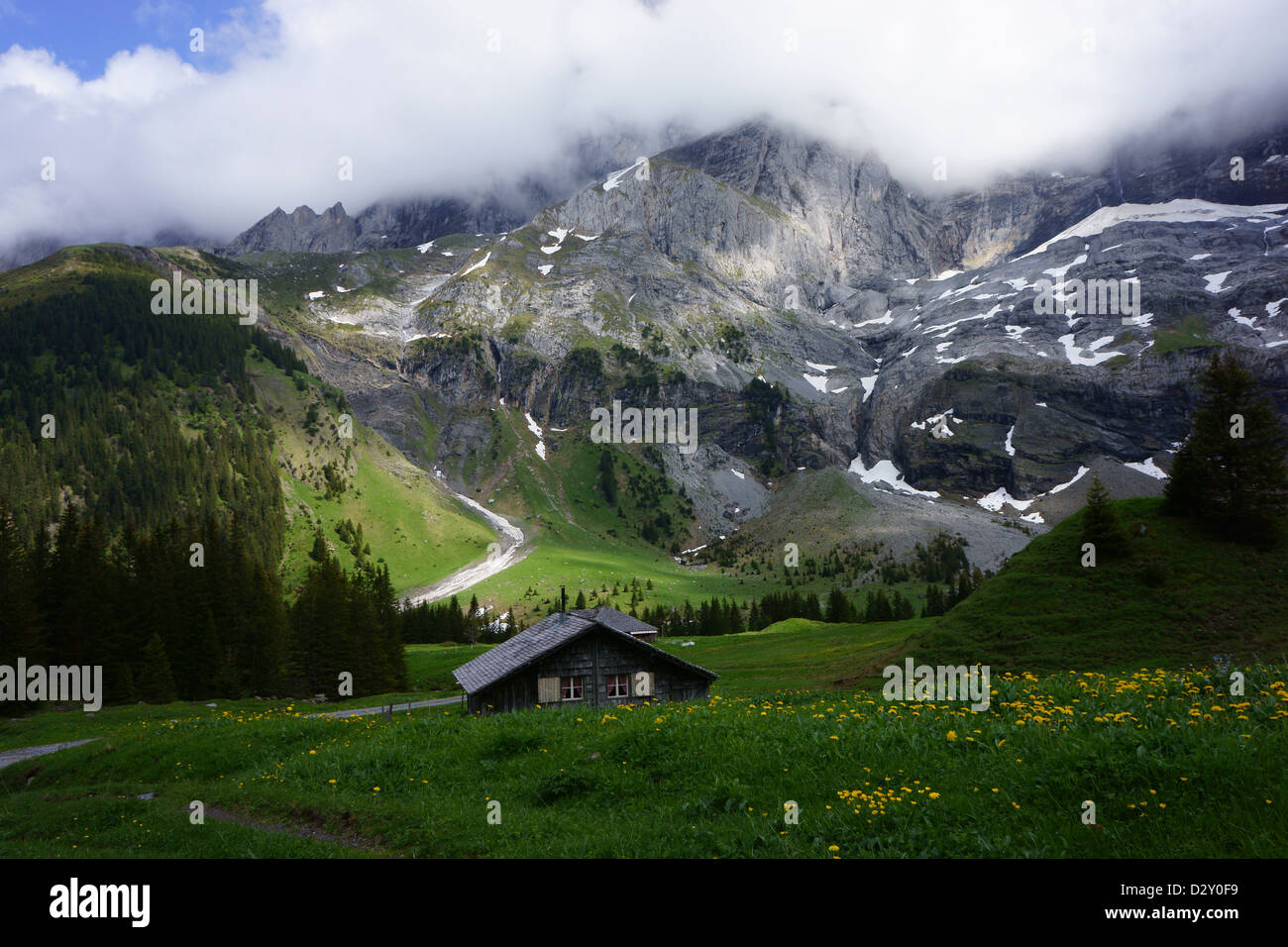 Alpine pastures below  Mt. Wellhorn, Rosenlaui-Schwarzwaldalp, Bernese alps, Switzerland Stock Photo