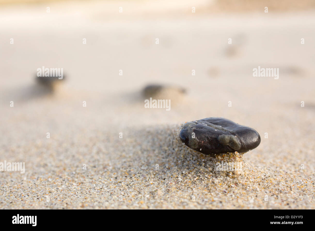 Pebbles on a Beach; Wind Blowing; UK Stock Photo