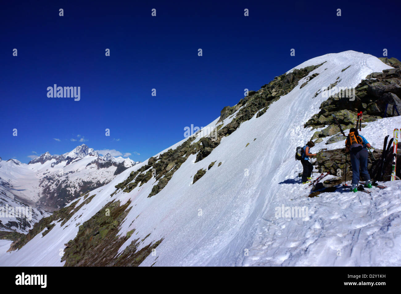 Ski mountaineering on Siedelhorn, Finsteraarhorn in back,Bernese alps, Switzerland Stock Photo