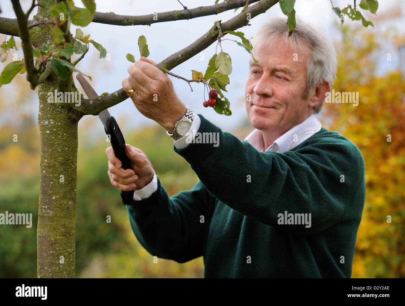 The gardener Roddy Llewellyn at home near Shipston-on-Stour where he runs gardening courses UK 2009 Stock Photo
