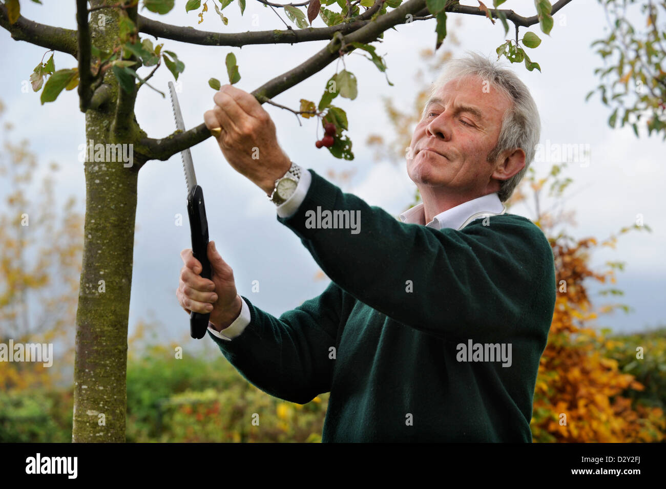 The gardener Roddy Llewellyn at home near Shipston-on-Stour where he runs gardening courses UK 2009 Stock Photo