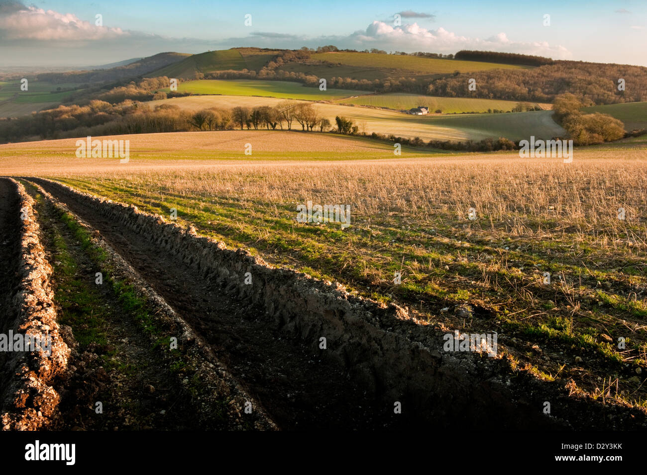 A view of the South Downs in West Sussex looking towards Treyford Hill with farm track and farm in winter with blue sky Stock Photo