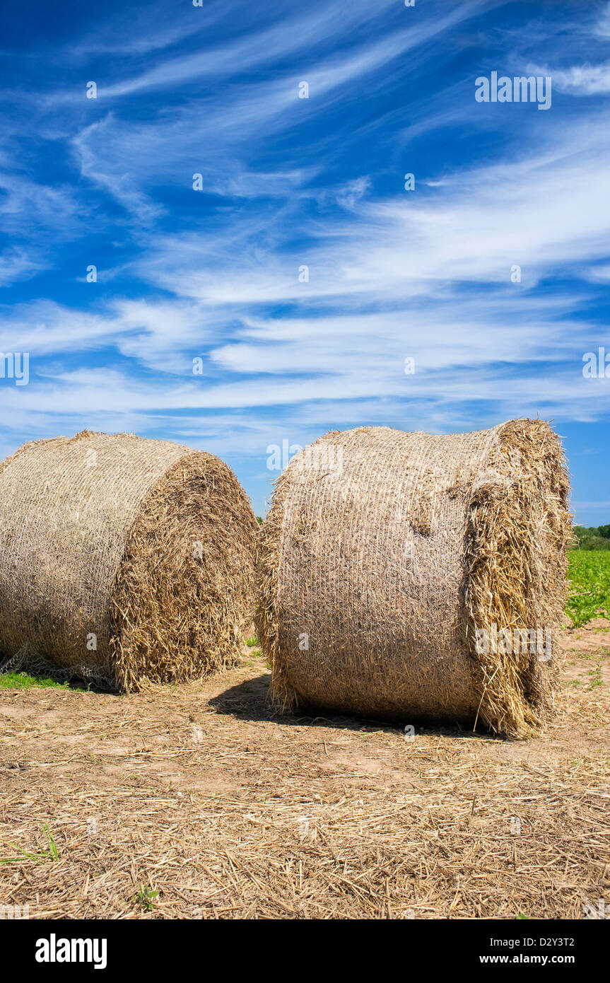 Circular Straw Bales in Field with Wispy Cirrus Cloud in a Blue Summer Sky Stock Photo