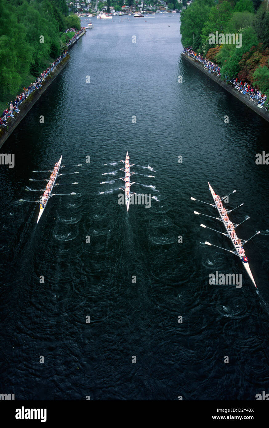 Crew Team Races Crew Race, Seattle Stock Photo - Alamy
