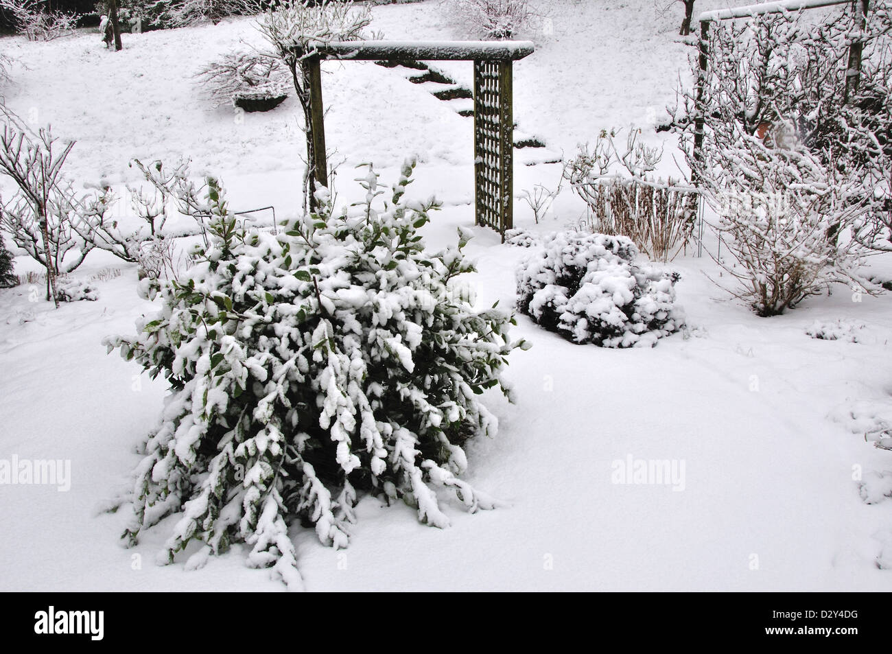 A garden in the snow UK Stock Photo