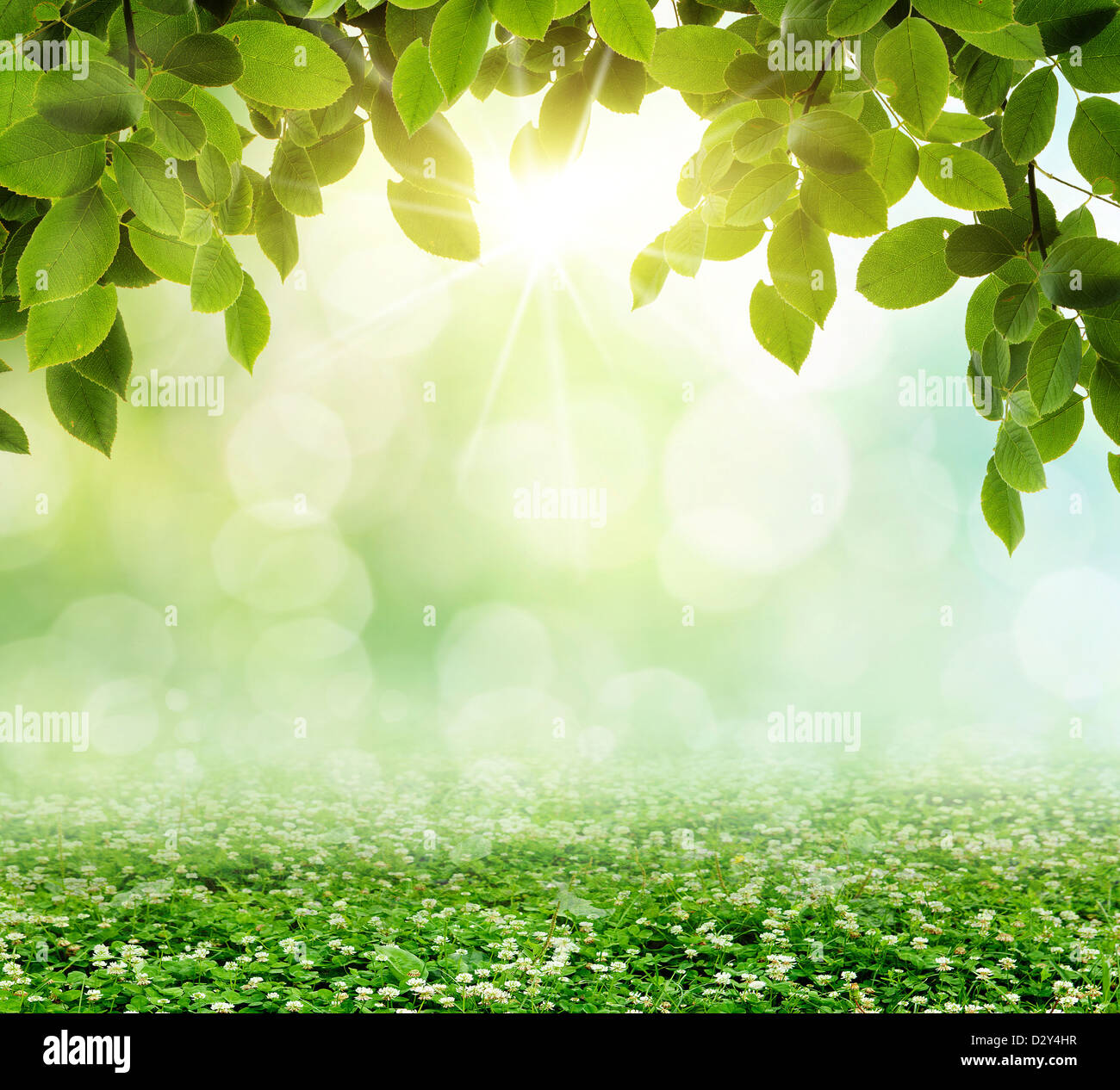 natural green background with selective focus Stock Photo