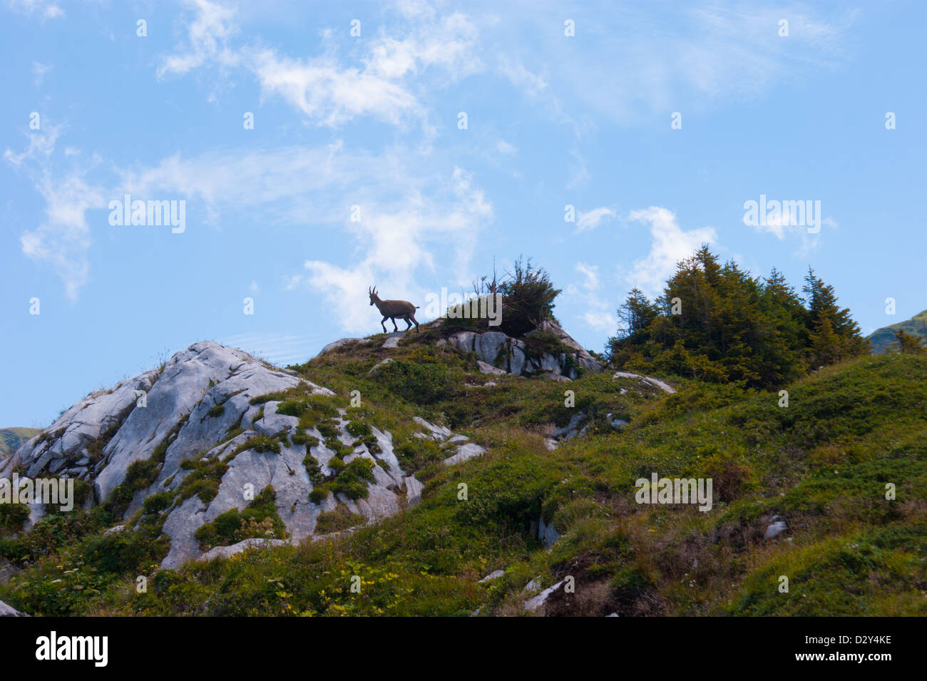 lac de loveney,vaud,swiss Stock Photo