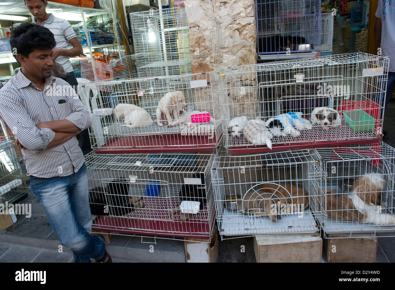 A dog dealer offers the Souq Waqif in Doha (Qatar) on 09.01.2013 his dog  puppies in cages. Photo: Peter Kneffel / dpa Stock Photo - Alamy