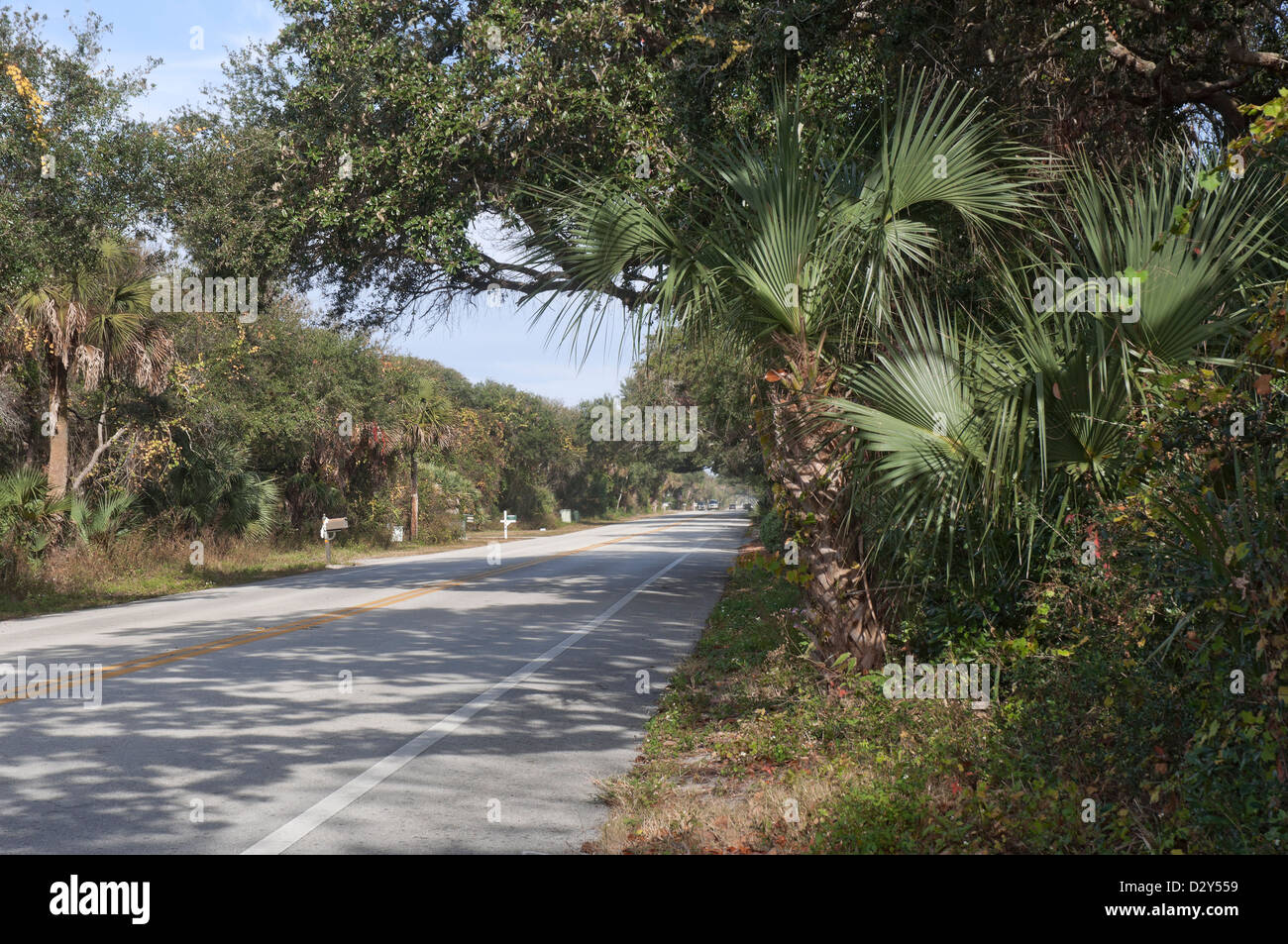Along  the historic coastal highway A1A in North Florida.  It is an officially designated American Byway. Stock Photo