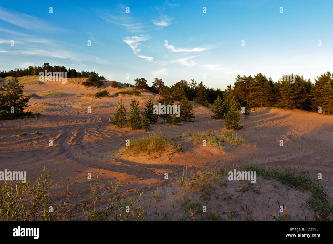 Shore forest hi-res stock photography and images - Alamy