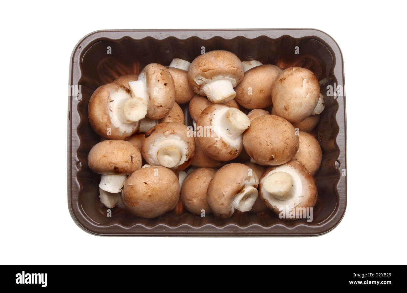 Chestnut mushrooms in a plastic tray isolated against white Stock Photo