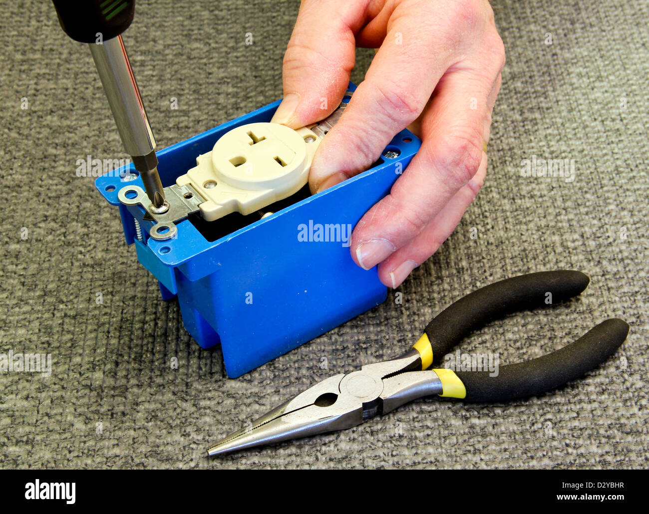electrician screws an outlet to an electrical box Stock Photo Alamy