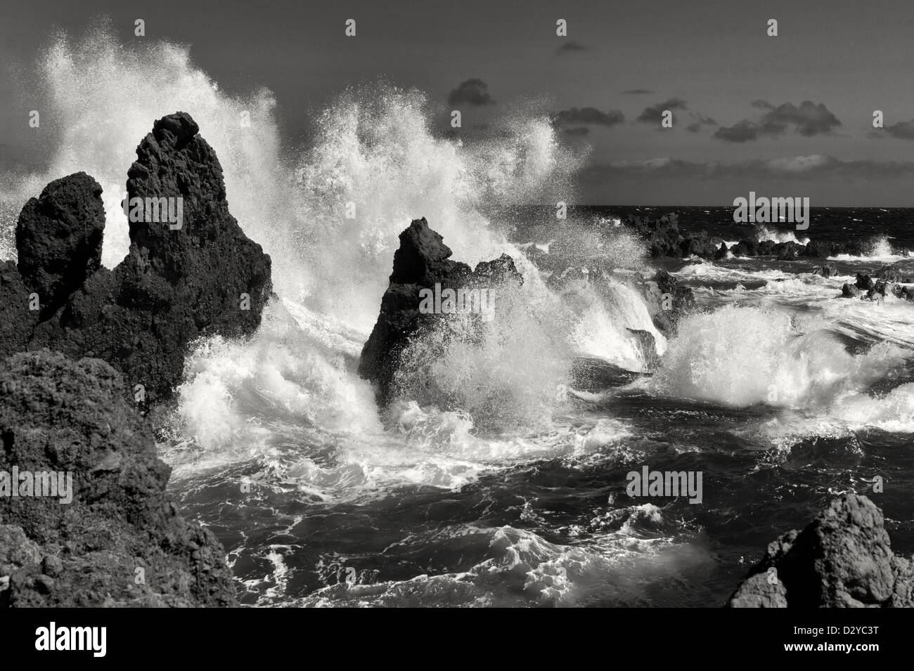 Waves crashing on volcanic rocks. Laupahoehoe Point Beach Park. Hawaii, the big Island. Stock Photo