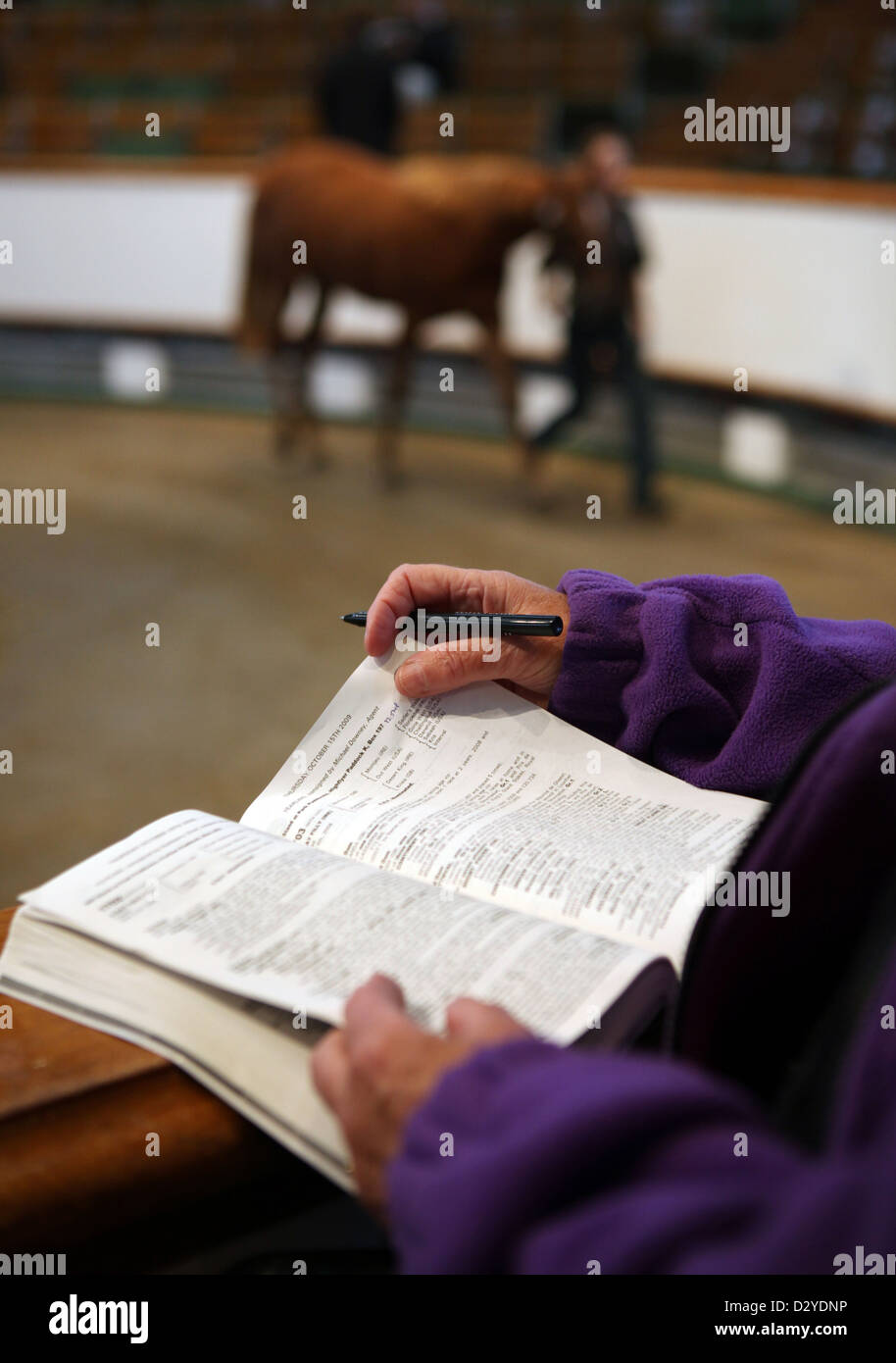 Newmarket, UK, leafs in a catalog during a horse auction Stock Photo