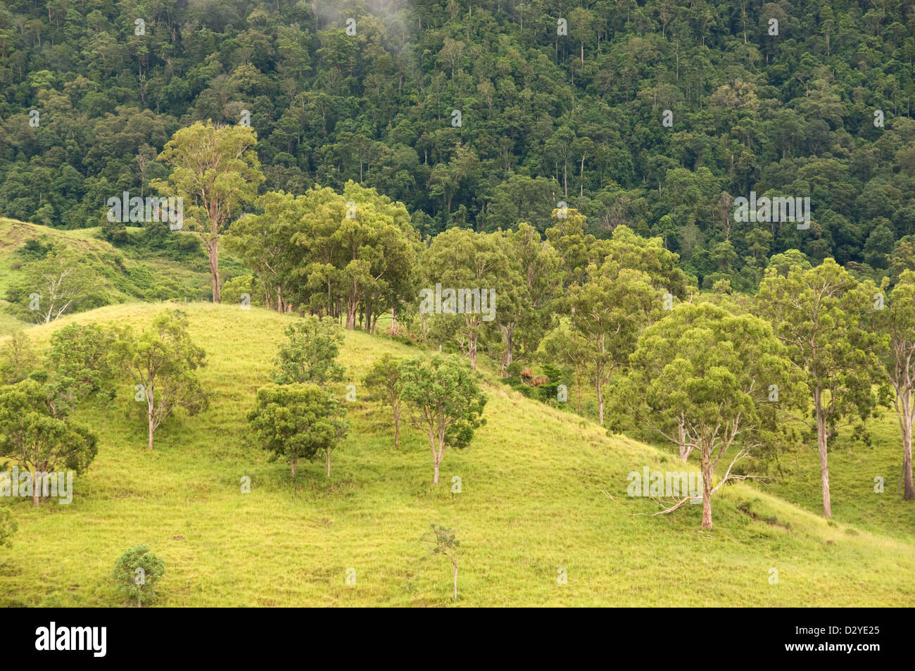 Queensland nsw border hi-res stock photography and images - Alamy