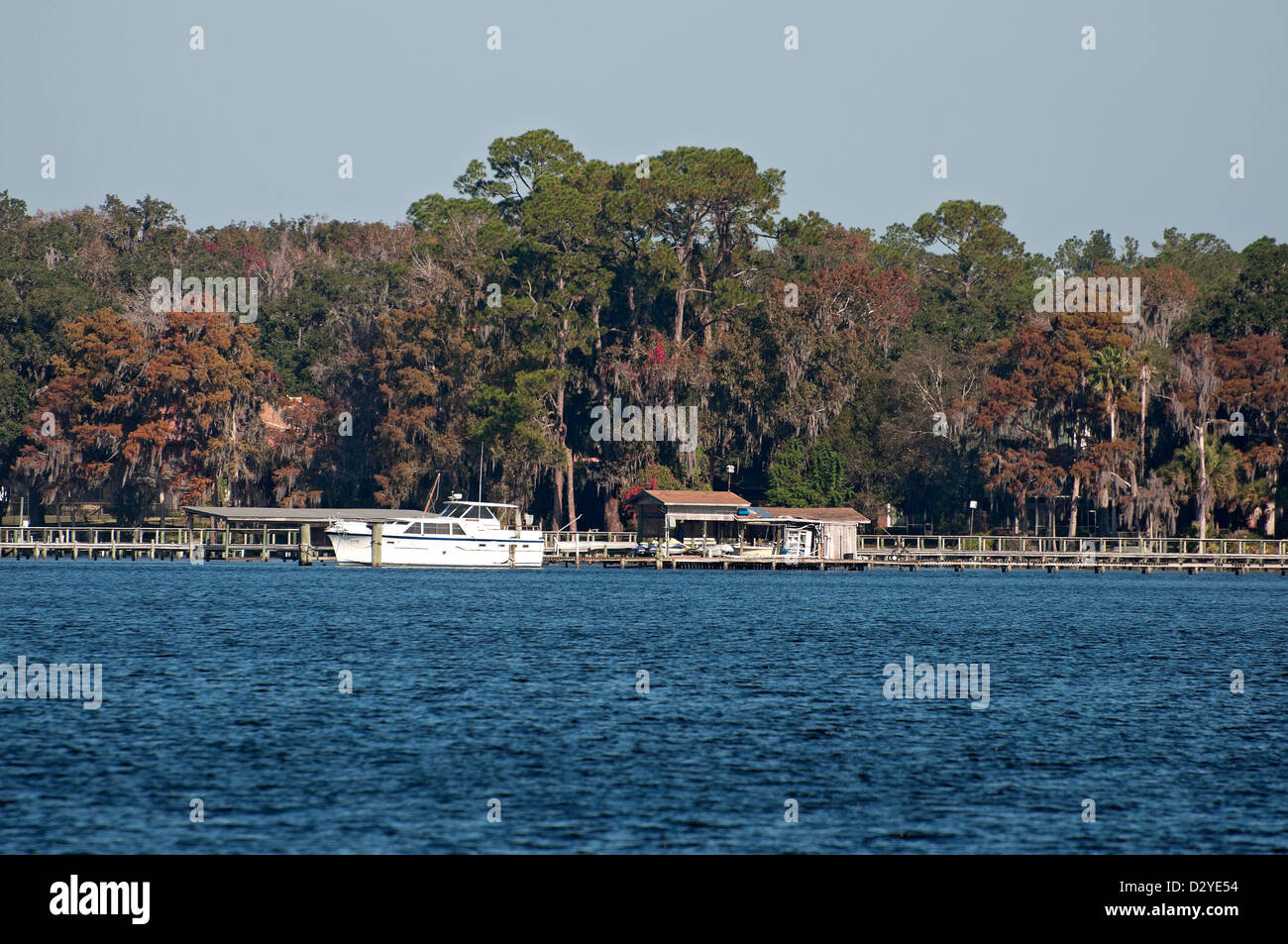 The St. Johns River is the longest river in Florida. It is one of the