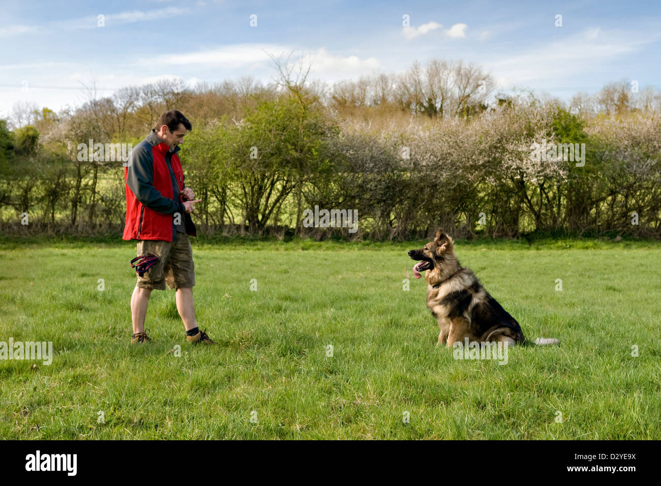 Dogbreed hires stock photography and images Alamy