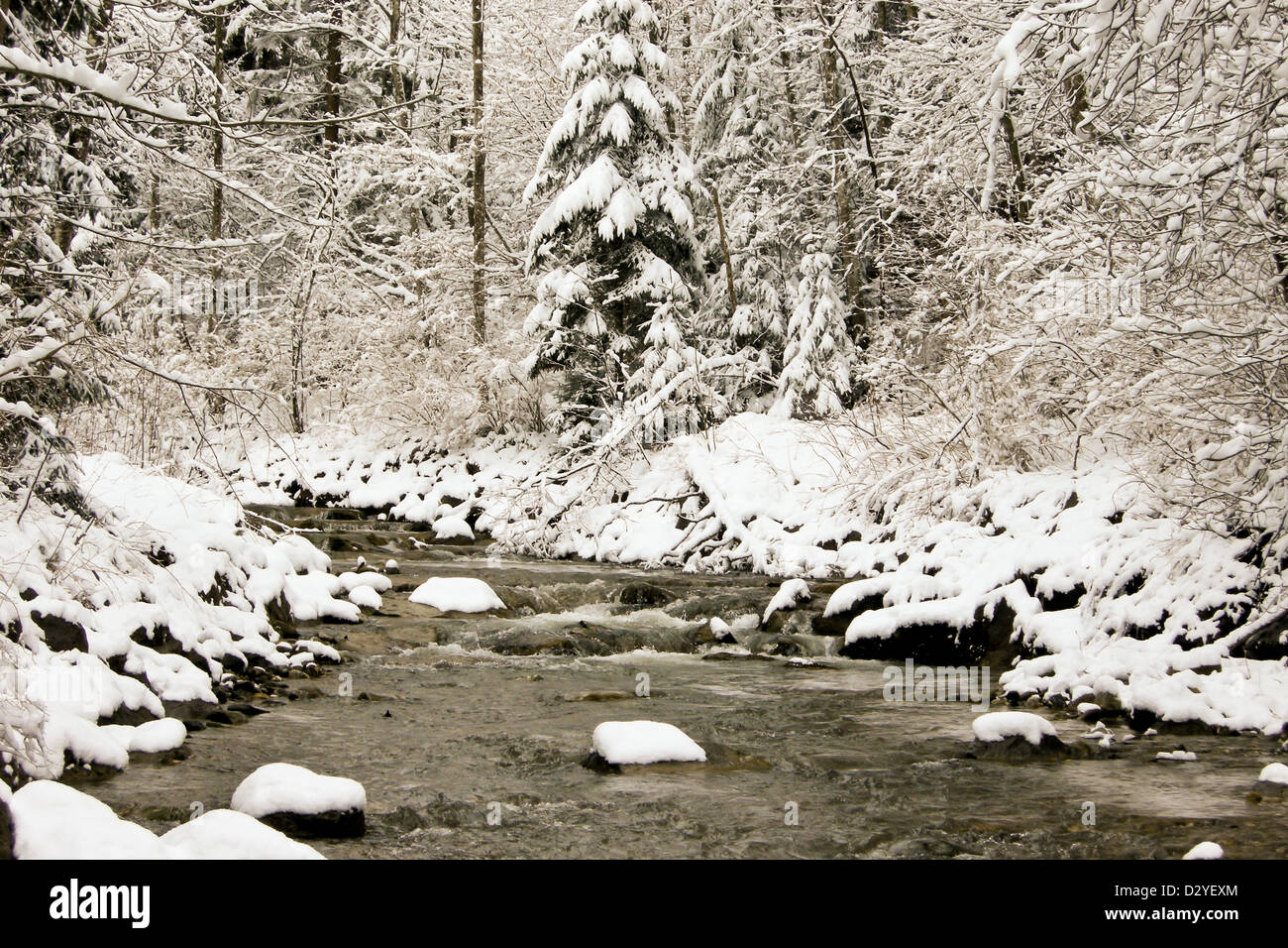 trees forest snow in winter landscape background Stock Photo - Alamy