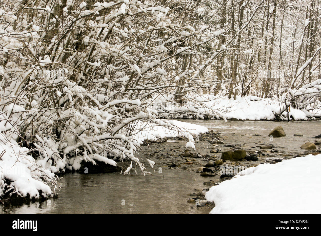 trees forest snow in winter landscape background Stock Photo - Alamy