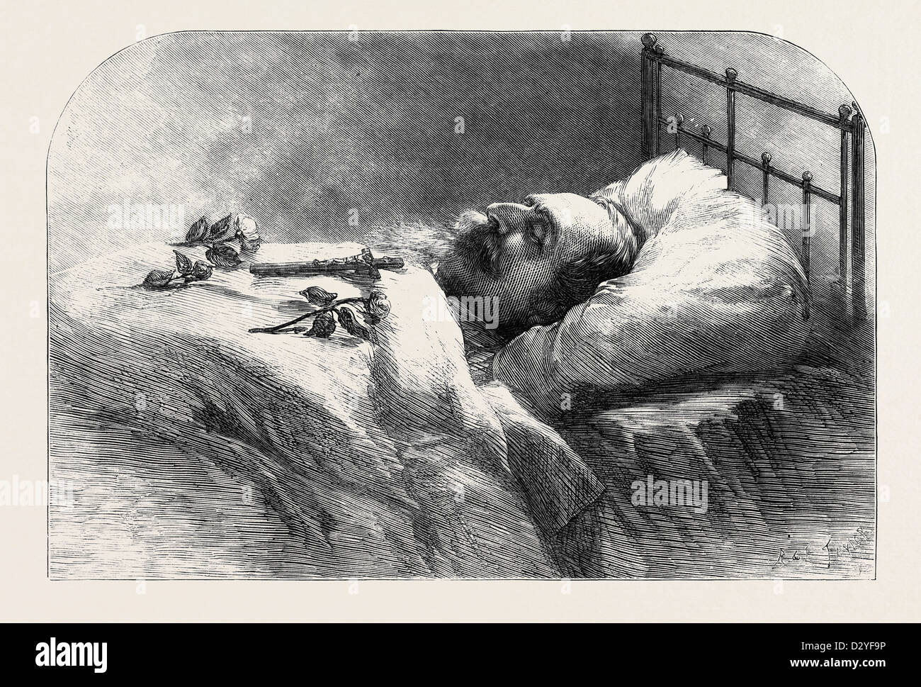 Death of napoleon iii hi-res stock photography and images - Alamy