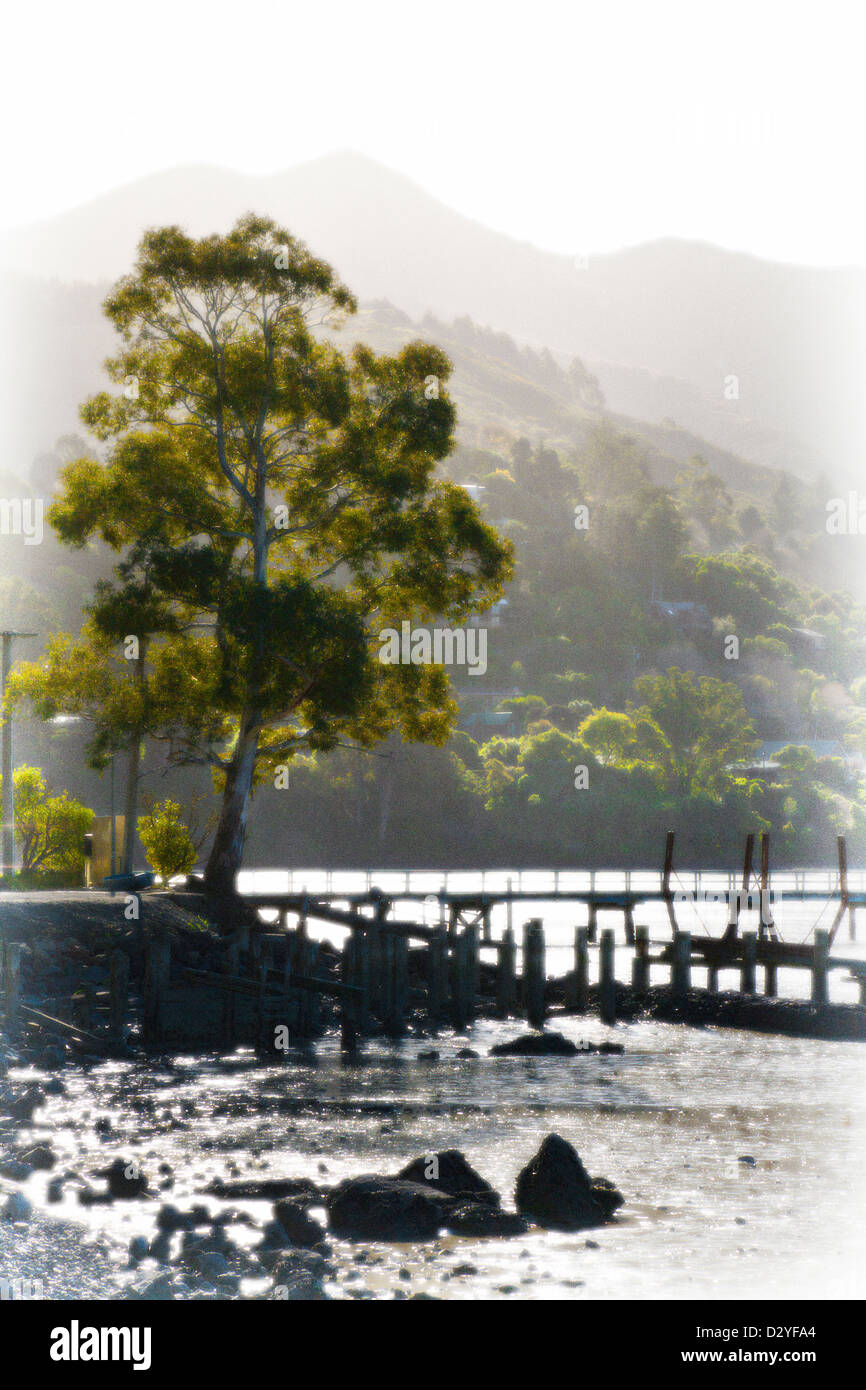 A dreamy view of trees and an old wooden jetty at Governors Bay, Canterbury, South Island, New Zealand. Stock Photo