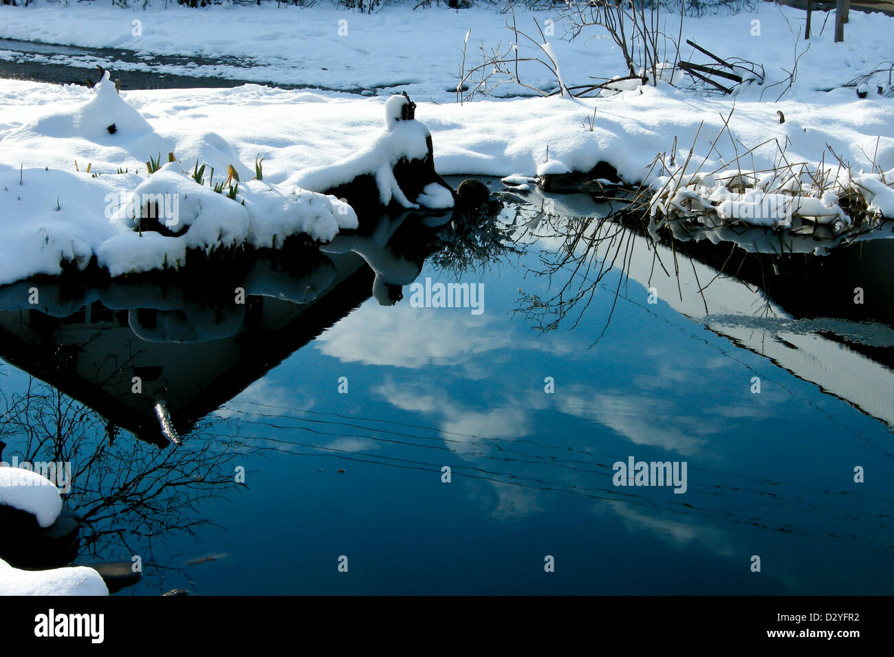 trees forest snow in winter landscape background Stock Photo - Alamy