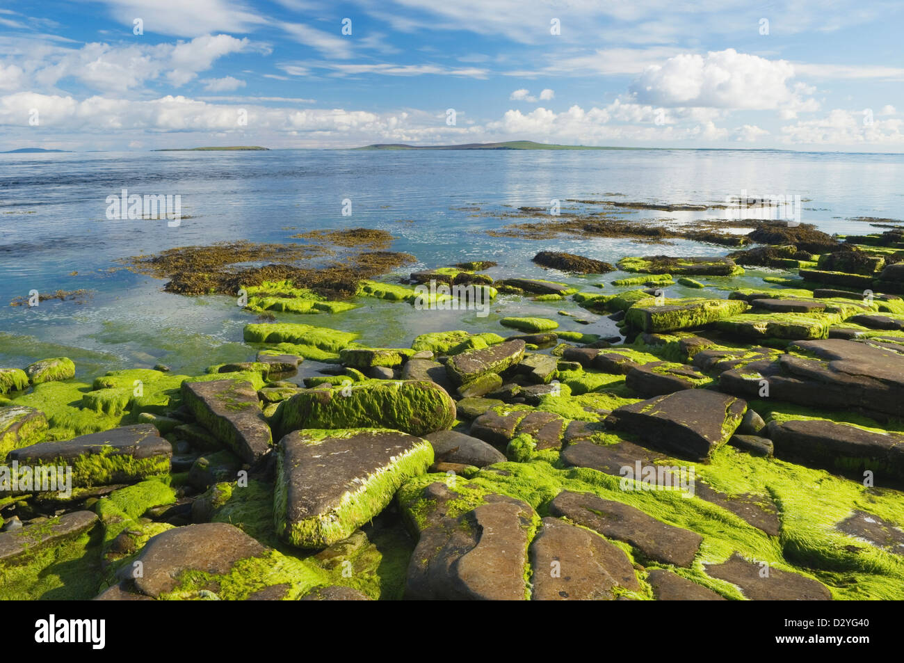Coast near the northern tip of the island of Shapinsay, Orkney Islands, Scotland. Stock Photo