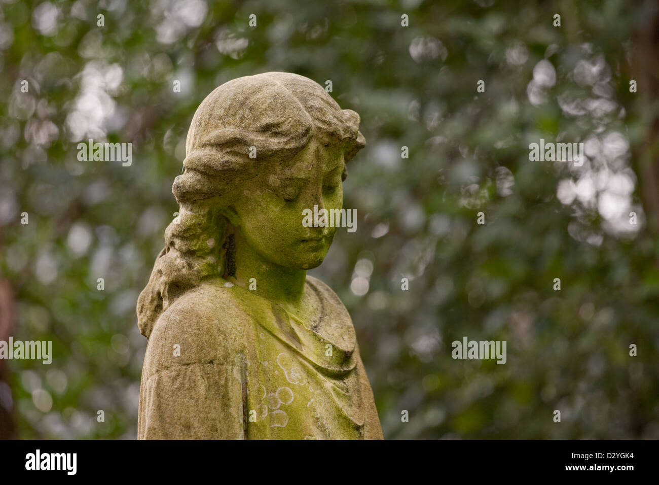 Angel statue Highgate Cemetery, east side, London Stock Photo Alamy