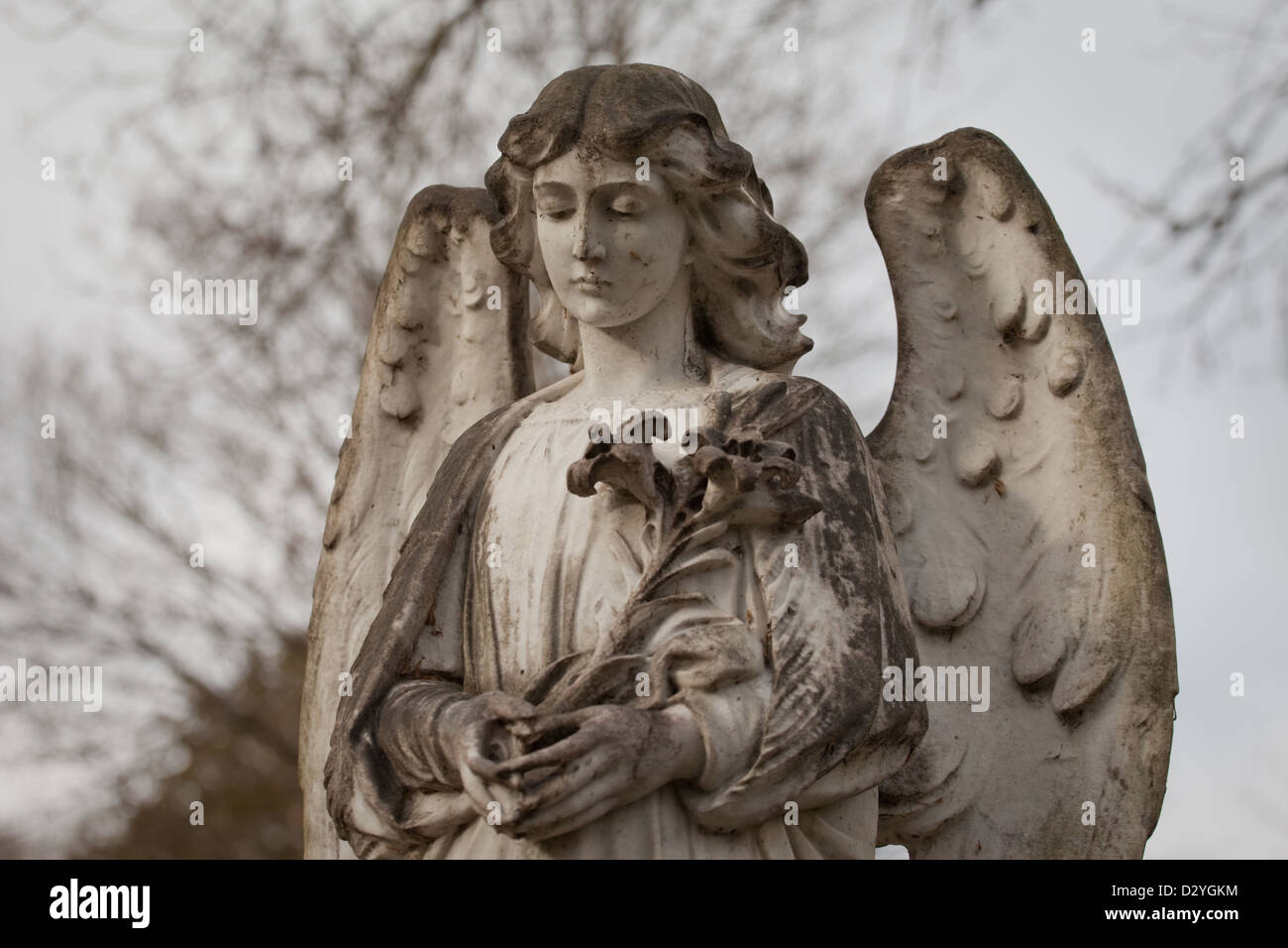 Angel statue hires stock photography and images Alamy