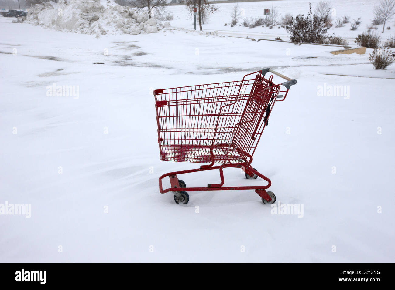 Image result for supermarket carriage snow storm