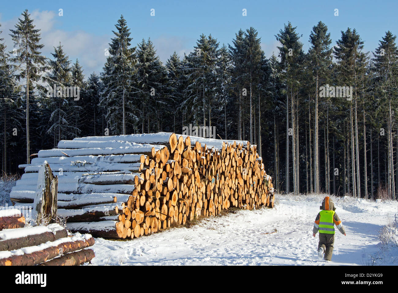 pile of tree trunks near Drei Annen Hohne, Harz Mountains, Saxony-Anhalt, Germany Stock Photo