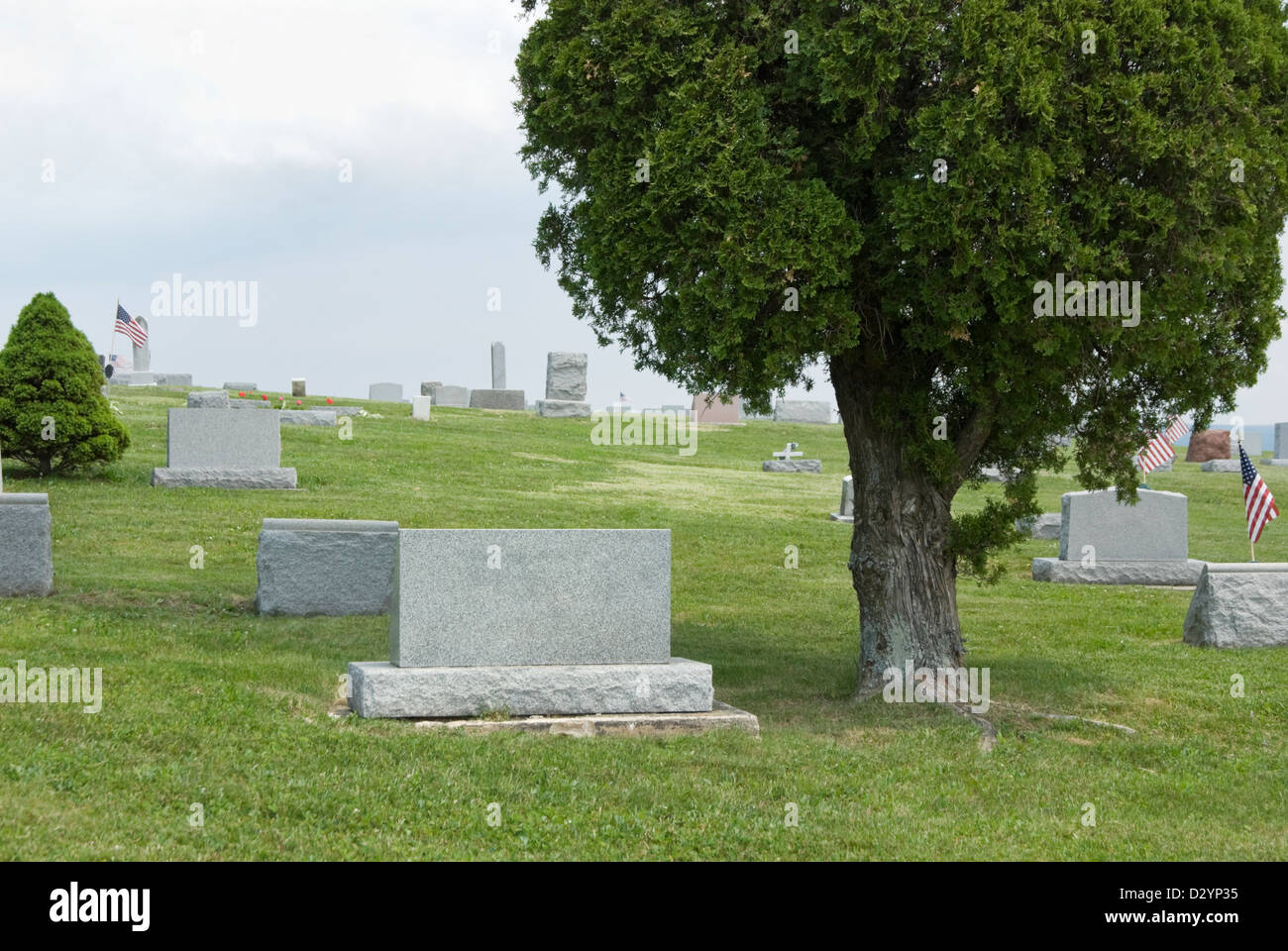Stock photo of blank cemetery headstones in summer graveyard, ready to add your own text. Stock Photo