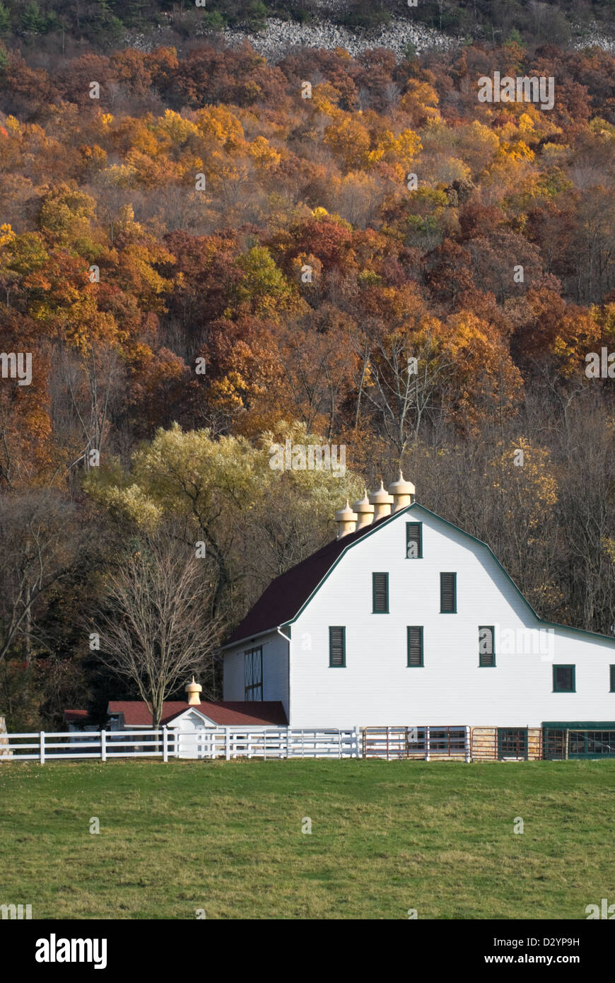 White barn against colorful fall mountainside scenery in Pennsylvania, PA, USA. Stock Photo