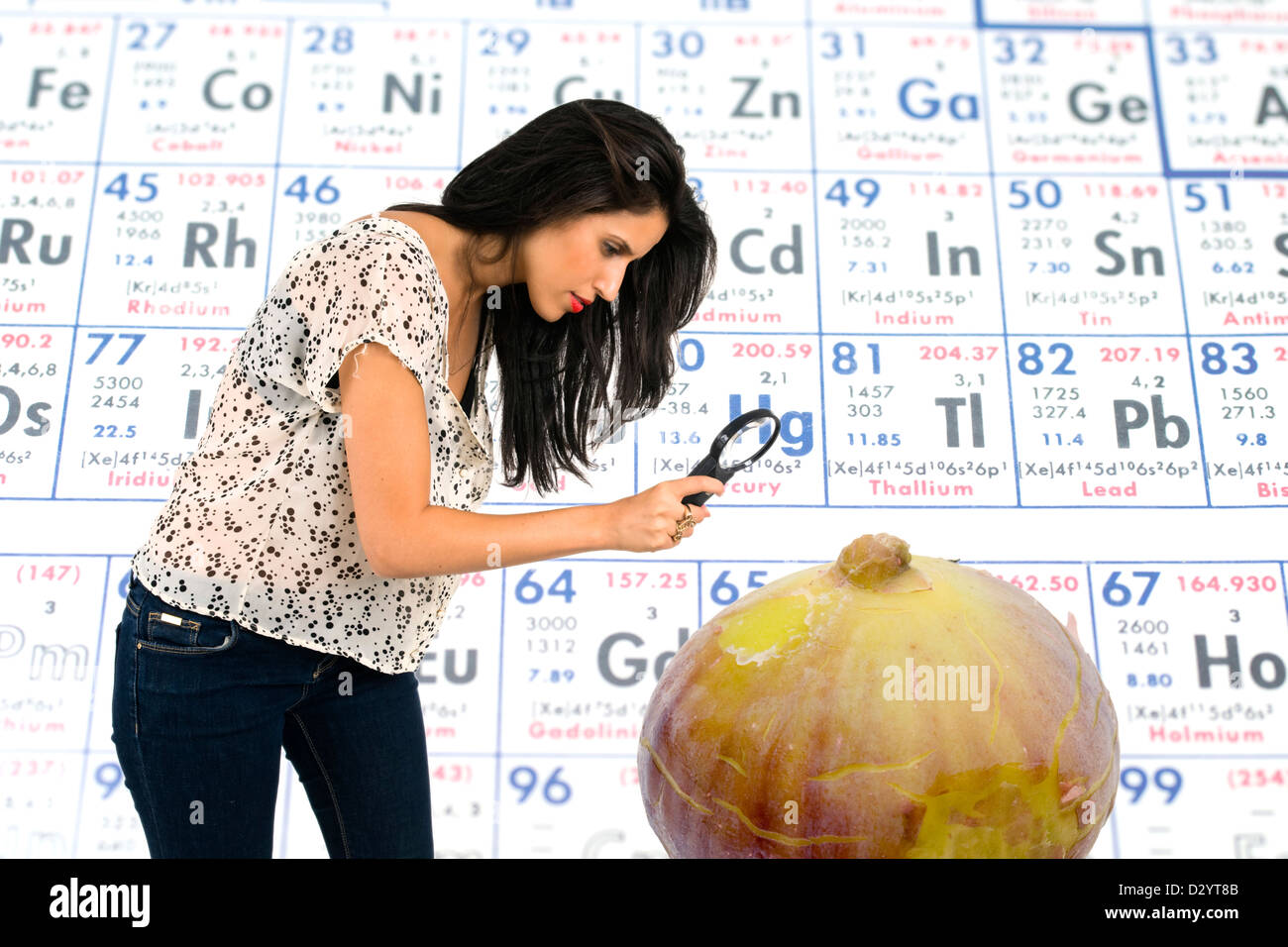 Woman with magnifying glass scrutinizes the face of a gigantic bio engineered fig Stock Photo