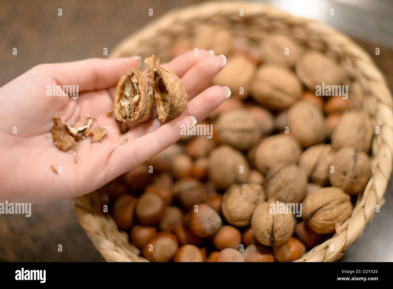 A woman holds on a walnut in your hand. Stock Photo