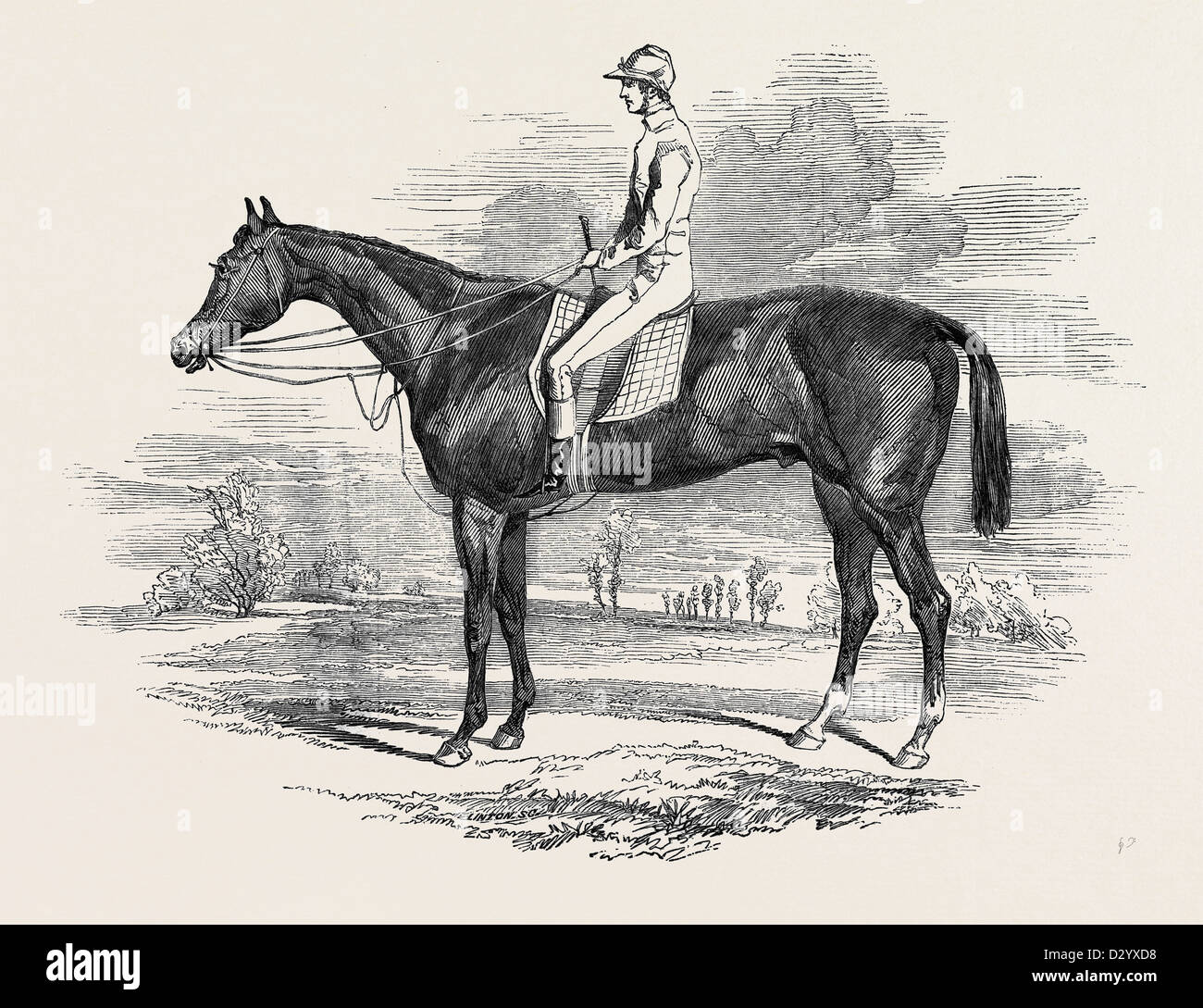 PORTRAIT OF RATAN Stock Photo Alamy