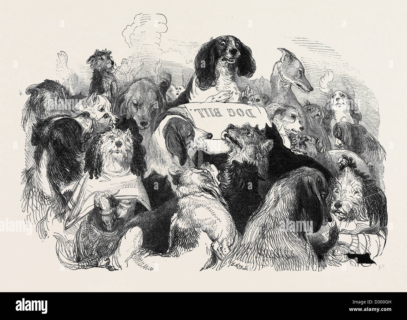 THE DOG BILL COMMITTEE, DRAWN BY T. LANDSEER Stock Photo