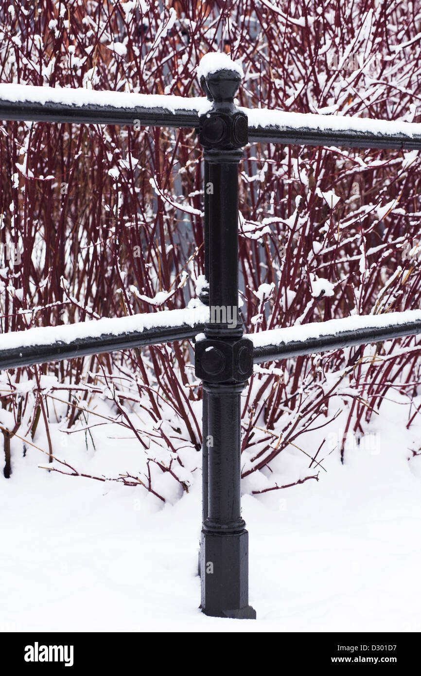 Snow covered railings in front of a red stemmed cornus. Stock Photo