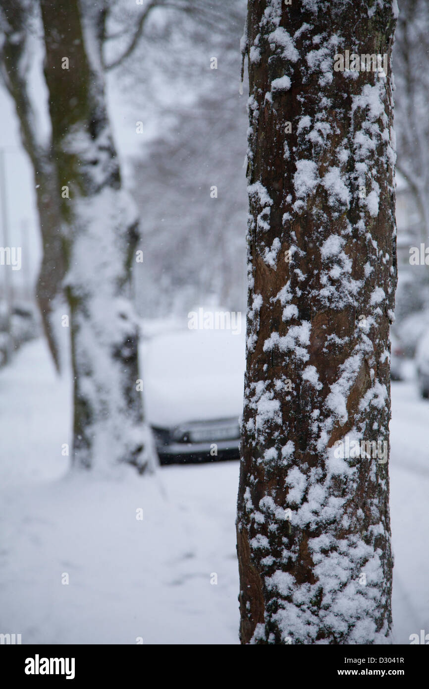 Sheffield, South Yorkshire, UK. 5th February 2013. Heavy snowfall at the beginning of the rush hour this morning. People struggled to get to school and work and traffic crawled down the main roads whilst side streets were all but impassible. Snow covered trees on a side road. Credit:  Eric Murphy / Alamy Live News Stock Photo