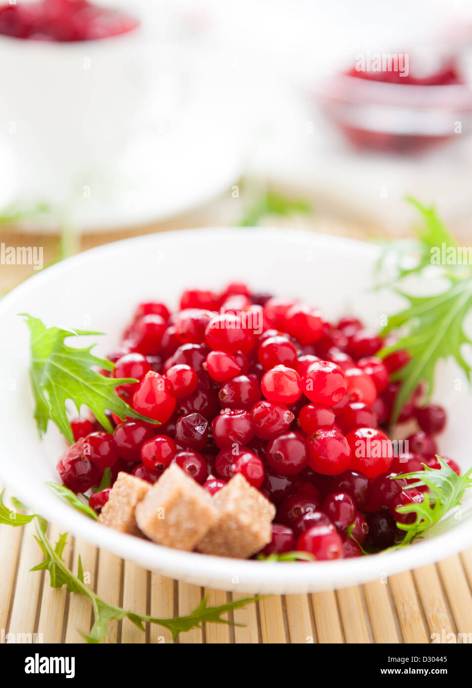 Cranberry with cane sugar in a white bowl, closeup Stock Photo