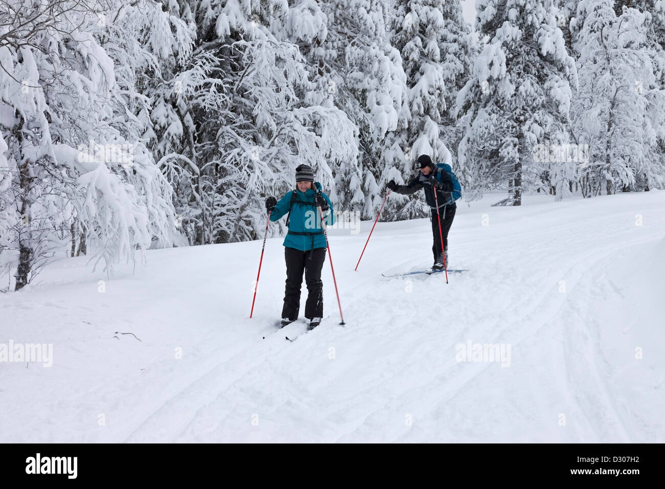 Cross Country Skiers in the PallasYllästunturi National Park Near