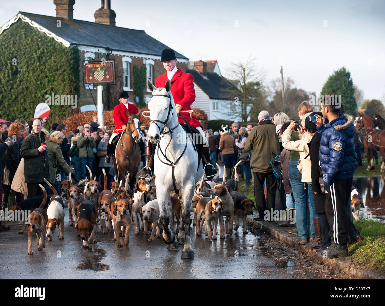 Fox hunting - Boxing Day hunt begins at Matching Green Village, Essex, UK Stock Photo