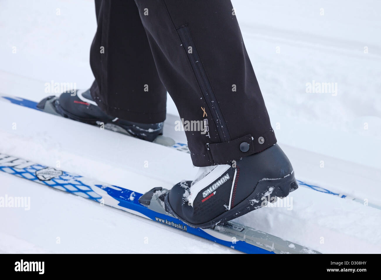 Close up View of the Feet of a Cross Country Skier Stock Photo - Alamy
